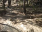 DSC07089.JPG