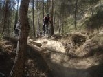 DSC07103.JPG