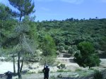 DSC00811.JPG