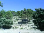 DSC00815.JPG