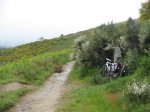 IMG_0258 (Small).JPG