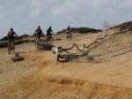 IMG_0101.jpg