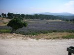 fenasosa 2 002.jpg
