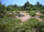 Foto7.JPG