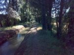 13072008037.JPG