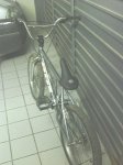 IMG_0232.jpg