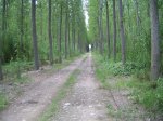 SSA42006.jpg