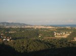 m_IMG_2602.jpg