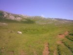 Imagen005.jpg