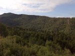 Imagen033.jpg