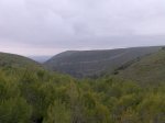 Imagen049.jpg