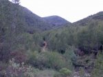Imagen064.jpg
