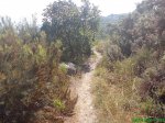 DSC00763.jpg