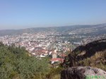 DSC00766.jpg