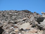 IMG_4317_r.jpg
