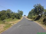 DSC00767.jpg
