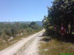 DSC00773.jpg