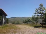 DSC00778.jpg