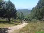 DSC00780.jpg