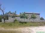 DSC00782.jpg