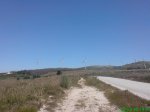 DSC00784.jpg