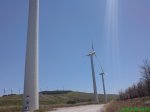 DSC00785.jpg