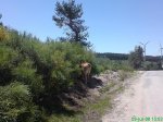 DSC00796.jpg