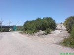 DSC00797.jpg