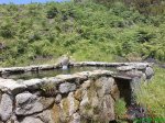 DSC00798.jpg