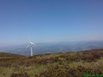 DSC00809.jpg