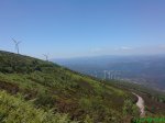 DSC00813.jpg