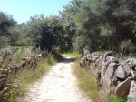 DSC00814.jpg