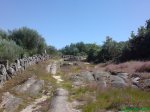 DSC00815.jpg