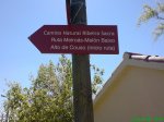 DSC00817.jpg