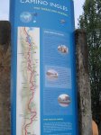IMG_1262.jpg