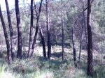 Imagen038.jpg