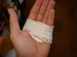 DSC00526.jpg