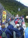 DSC00379 (Large).JPG