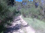 Imagen045.jpg