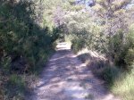 Imagen046.jpg