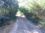 Imagen047.jpg