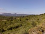 Imagen051.jpg