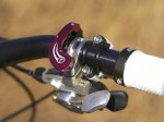 Specialized_2009_Command_Post_remote-798-99[1].jpg