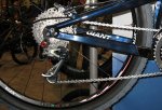 xtr rol gris tor roj.jpg