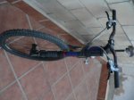 Bici pepe venta 5.JPG