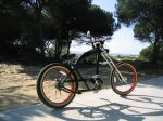 chopper4.jpg