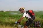 Fotos%20del%20camino%20Santiago%201320 1 .jpg