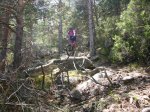 Foto31.JPG