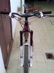 Imagen229.jpg