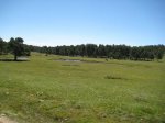 Foto 095.JPG